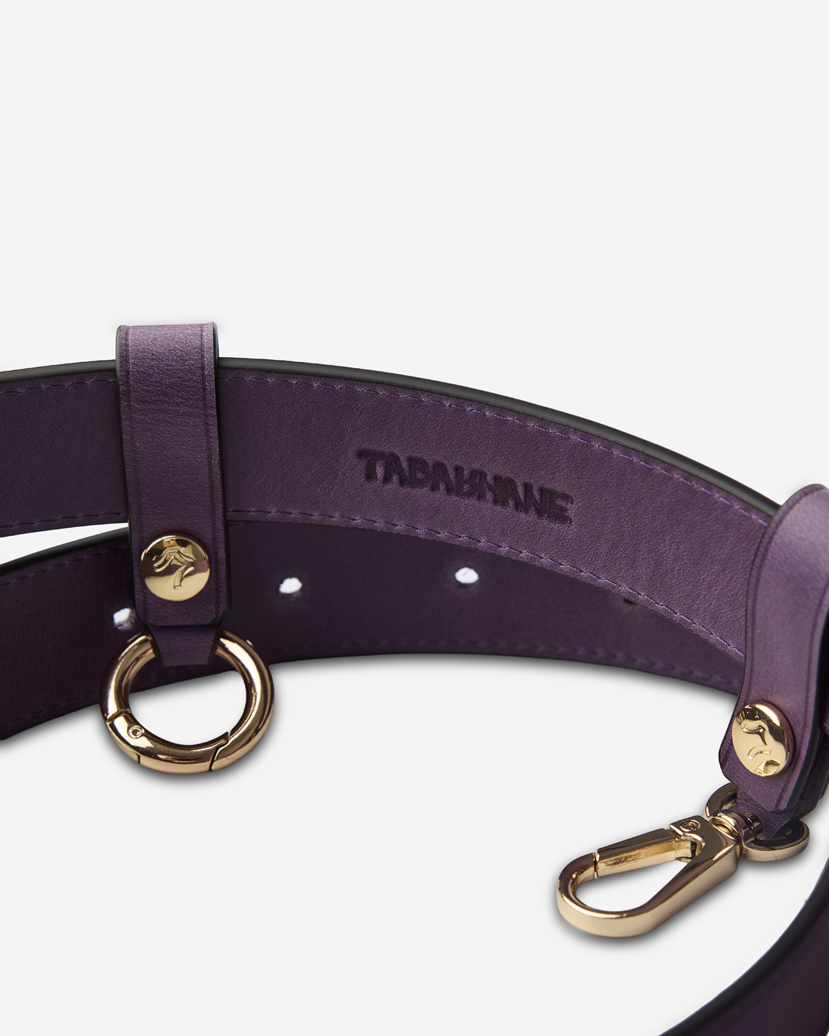 Icon Belt — 2